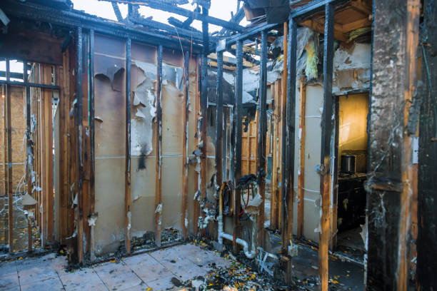 Professional Fire Damage Assessment technician working in North Terre Haute, IN